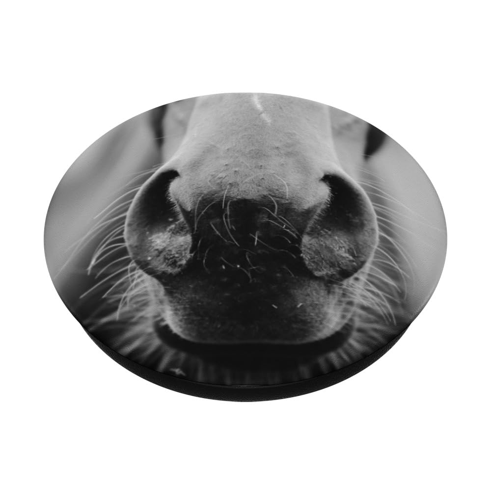 Horse Popsockets Popgrip: Swappable Grip For Phones & Tablets Popsockets Adhesive Popgrip